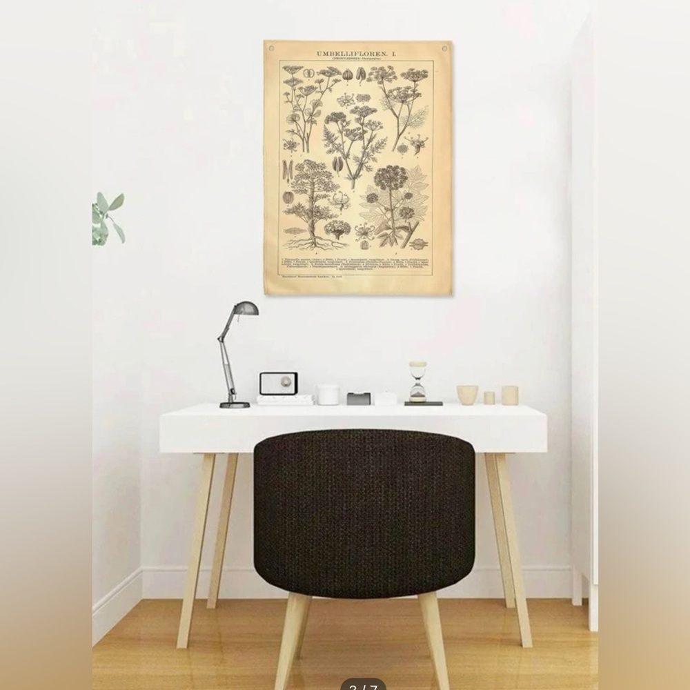 BOGO Apothecary flower plant botany vintage textbook tapestry fabric poster